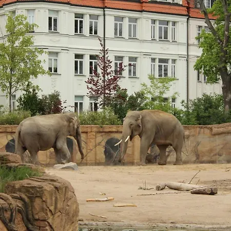 דירה 1813 - Voelkerschlacht Zu Leipzig מרקליברג