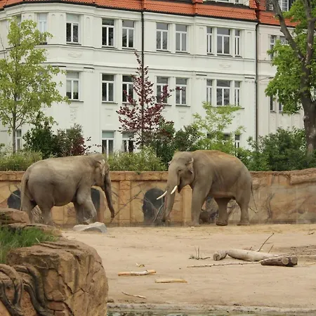 Apartment 1813 - Völkerschlacht Zu Leipzig Markkleeberg